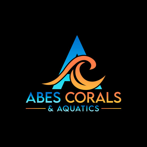 Abes Corals & Aquatics